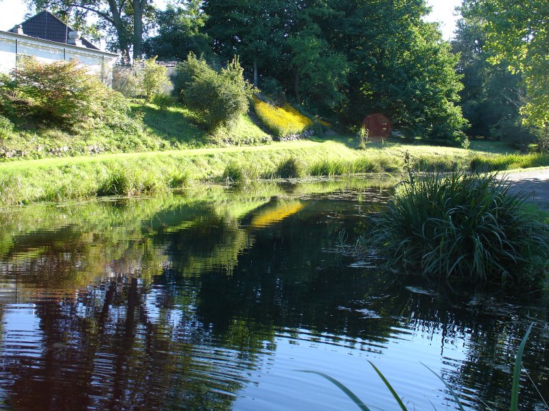 Rostock  im Botanischen Garten 3