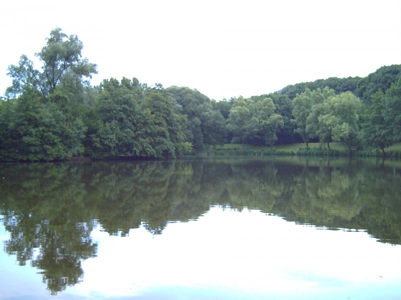 Revierpark Wischlingen bei Dortmund - Natur pur und Gr�n, soweit