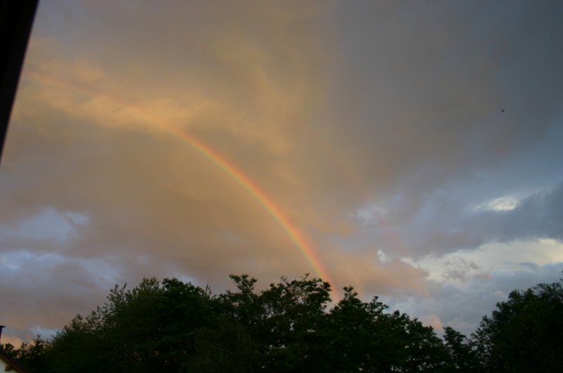 Regenbogen nach einem Regenschauer an einem sommerlichen Tag 