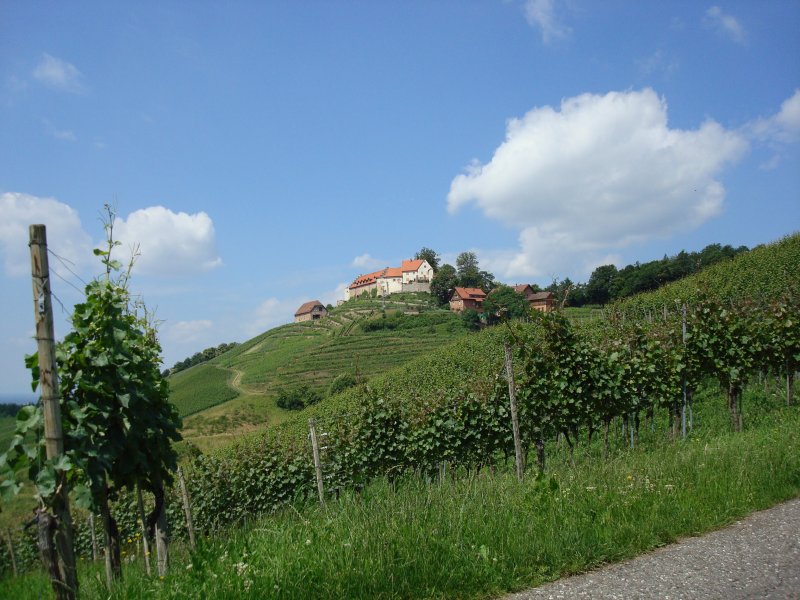 Schloss Staufenberg und die Weinberge des Markgrafen von Baden in der Naehe von Offenburg/Baden  Juni 2008