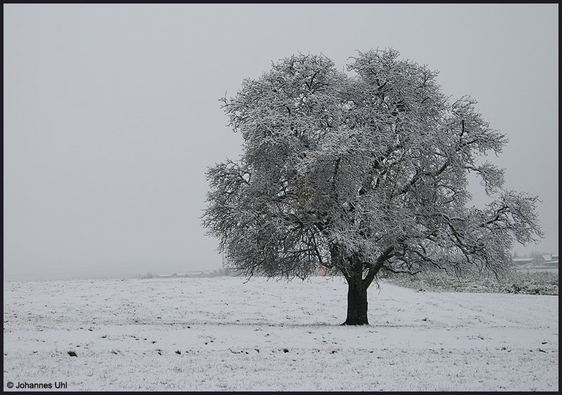 Wo sind denn die Farben hin? - Aalen-Fachsenfeld am winterlichen