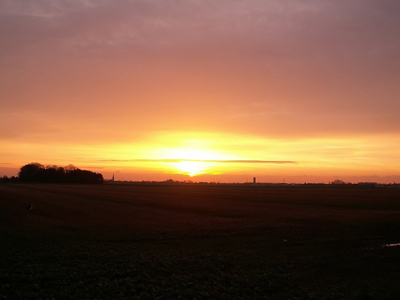 Sonnenaufgang in der Nhe von Grefrath. Das Foto stammt vom 31.01.2008