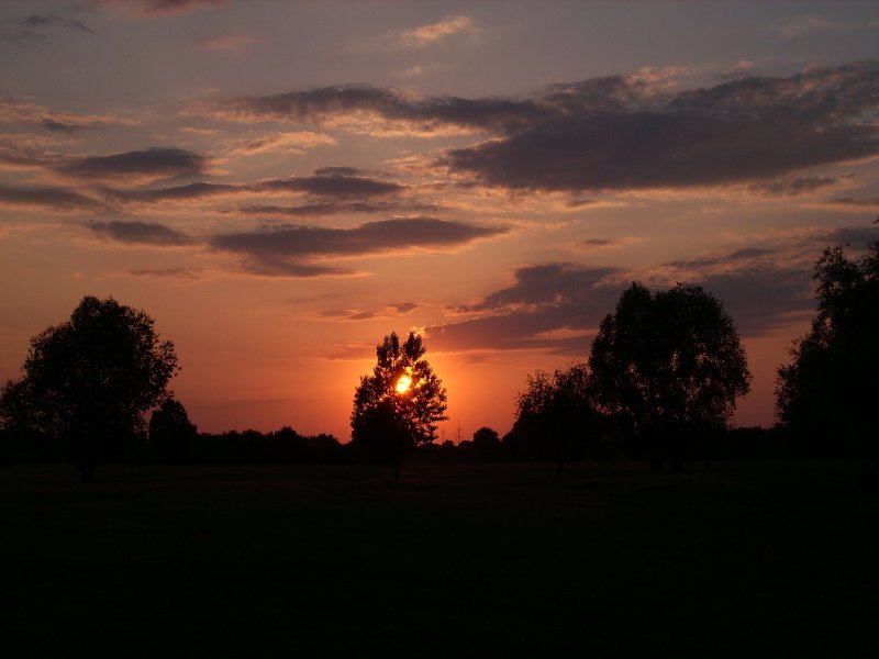 Sonnenuntergang �ber den Elbauen in Niegripp ( 07.06.2008 um 21:09
