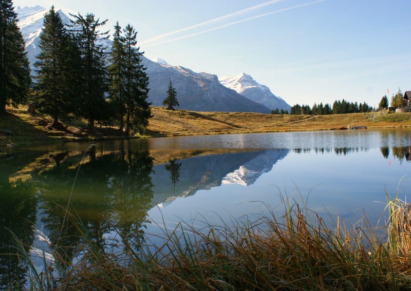 Spiegelbilder am Bergsee Lac Retaud. (1690 m..M)
(Oktober 2008)