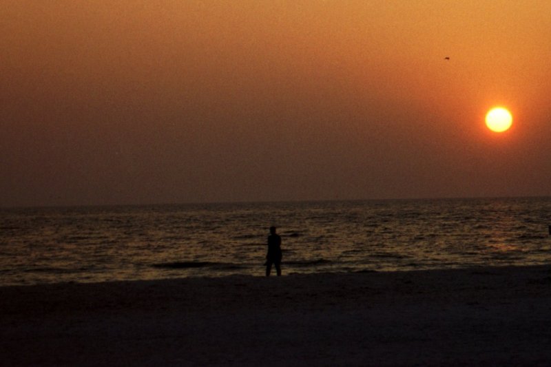 Sunset am Fort-Meyers Beach
(Nov 2000)
