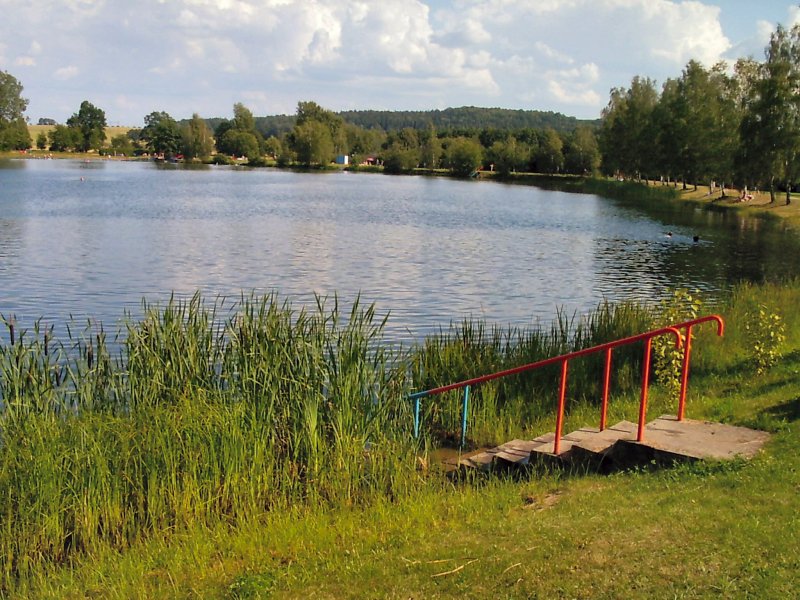 Teichlandschaft bei Schlegel im Sommer 2004
