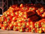Orangen Angebot nicht per Stck sondern per Sack am Strassenrand nahe Kapstadt.