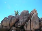 Seychellen - Indischer Ozean - Granit-Felsen auf 'LaDigue' - 17.12.2009