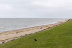 Hier steht  der Mensch am Meer  eine Skulpturengruppe aus weißem Beton in Dänemark Esbjerg (dänisch Mennesket ved Havet), Bild zeigt die Landschaft an der Skulpturengruppe. Gesehen am 17. Februar 2024. 