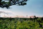 Die Rubjerg Knude Wanderdühne. Das Bild wurde aufgenommen mit einer Ihagee EXA IIb und einem Fujicolor Superia 200/36, 1/60 sek, f:22 ; 31.05.2015