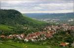 Blick vom Korber Kopf auf den Ortsteil Steinreinach der Gemeinde Korb.