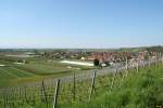 Hier ist der Sdbadische Weinort Hgelheim mit Blick vom gleichnamigen Rebberg in Richtung Rheintal/Freiburg (Breisgau) zu sehen. Das Bild entstand am 25.04.13.