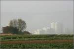 Gegensätze prägen die Landschaft im Remstal - 

Einerseits weite Flächen für die Landwirtschaft, anderseits auch dichte Besiedelung mit Gewerbe- und Wohnflächen. 

11.10.2008 (M)