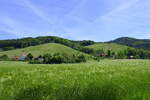Blick auf die Weinberge im unteren Glottertal /Schwarzwald, Mai 2022