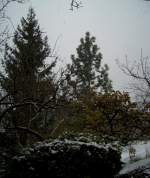 Der erste Schnee am 22.11.2008 in Pfarrkirchen.