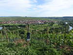 Ausblick von der Vogelsburg auf den Ort Nordheim a. Main (28.05.2017)