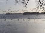 Mwen auf den Scharmtzelsee im Winter  Aufgenommen am 8 Januar 2008  