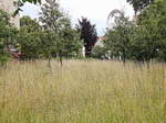Die Wiese im Comenius-Garten am 05.