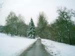 Die Endphase des Spazierganges durch den Winterwald im Jahre:2006!Bald wird das Schlo zu Biedenkopf in Sichtweite geraten! Nur noch eine Viertelstunde hchstens zu laufen,dann sehen wir das Schlo zu
