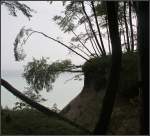 Abwärtsdrehung - 

Wie lange sich diese Bäume oberhalb der Steilküste an dieser Stelle noch behauptben können? Am Hochuferweg der Kreidefelsen auf der Halbinsel Jasmund auf Rügen. 

24.08.2011 (M)