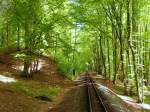 Durch das Waldgebiet Granitz auf der Insel Rgen fhrt die Bahnstrecke der Rgenschen Bderbahn , Aufnahme vom 12.5.2012
