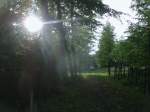 Im Schlopark von Pansevitz fotografierte ich diesen Moment als die Sonne durch die Bume schien.Aufgenommen am 19.September 2013.