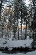 Winterwald bei den Unteren Wasserfllen der Warmen Bode bei Braunlage im Harz; Aufnahme vom Nachmittag des 30.01.2012.