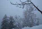  ber allen Gipfeln ist Ruh ...Blick am spten Vormittag des 02.12.2012 von den Hahnenkleeklippen hinunter Richtung Odertal, das in dichtem Nebel liegt; vom Rehberg gegenber ist nichts zu sehen...