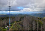Die südwestlichen Ausläufer des Harzes lassen sich vom Aussichtsturm des Großen Knollen erkennen. Am linken Bildrand, hinter dem Sendemast, liegt Herzberg.

🕓 15.10.2023 | 14:20 Uhr