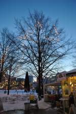 Baum mit Weihnachtssbeleuchtung in Hannover/Steintor.