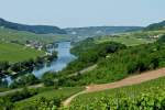 . Die Mosel als Grenzfluss zwischen Luxemburg und Deutschland. Wincheringen, 09.06.2014 (Jeanny)