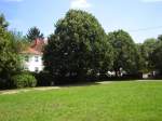 Ich habe in einem Park in Saarbrcken-Ensheim den Sommer eingefangen.