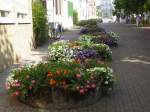 Auf diesem Foto sind die Sommerblumen aus Saarbrcken zu sehen.