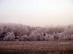 Nachdem sich der Nebel ber der Siedlung in Burkhardtsdorf verzogen hat, sieht die ganze Landschaft aus wie mit einem Zuckerguss berzogen, 20.12.07