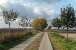 Landwirtschafts- und Fahrradweg. (Stadt Wettin-Lbejn, Oktober 2010)