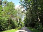 Blick entlang dem  Hauptweg  durch die Heide, dem grten Waldgebiet in Halle (Saale).