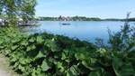 Am Plöner See am 29.05.2023. Der Große Plöner See, auch nur Plöner See, ist mit gut 28 km² der größte See in Schleswig-Holstein und der zehntgrößte See in Deutschland. Er erstreckt sich südwestlich der Stadt Plön, die an seinem Ufer liegt. (Wikipedia)