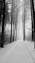 Winterlandschaft. Foto 25.02.13