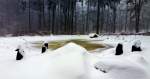 Verschneiter Teich in Zeulenroda. Foto 25.02.13