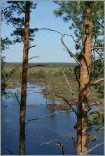 Wald und Wasser - Hauptbestandteile der wunderschnen estnischen Landschaft.