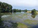 Sarthe Fluss bei Cheffes in der Landschaft Anjou, Dept. Maine-et-Loire (09.07.2017)
