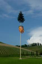 ein weit verbreiteter Frhlingsbrauch, das Aufstellen des Maibaumes, meist am 1.Mai oder am Vorabend, hier in Durbach in der Ortenau, Mai 2011