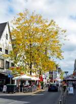Es  herbstelt  allmählich. Dieser Baum hat der Blattverfärbung nicht mehr standgehalten -  Rheinbach 03.09.2014