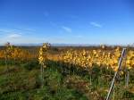 Blick ber die herbstlichen Weinfelder im Markgrflerland zu den Vogesen am Horizont, Nov.2015