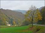 Herbstliche Landschaft mit einzelnem Baum am Straenrand fotografiert am 26.10.08 in der Nhe von Michelau.