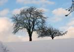 Immer wieder beeindruckend wie Schnee die Natur verwandelt.
(02.12.2010)