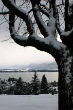 Ausblick ber den winterlichen Genfersee.