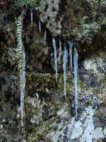 Auer Rauhreif bilden sich bei den winterlichen Temperaturen auch stellenweise Eiszapfen.