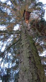 Einfach einmal den Stamm eines Fichtenbaumes hochfotografiert.(18.2.2012)