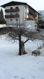 Ein Apfelbaum im noch sehr von Schnee bedeckten Kitzbhel am 4.3.2012.